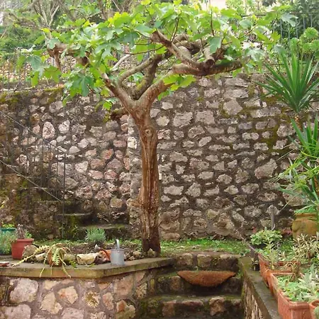 Nella Curva Della Funicolare, * Capri